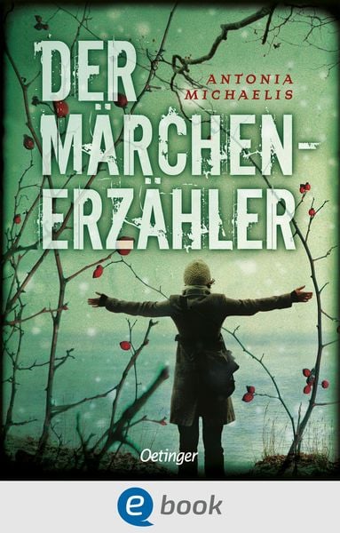 Book cover of Der Märchenerzähler