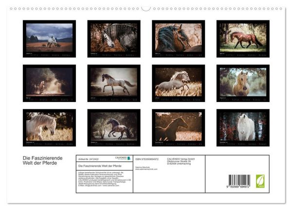 Produktbild: Die Faszinierende Welt der Pferde (hochwertiger Premium Wandkalender 2027 DIN A2 quer), Kunstdruck in Hochglanz