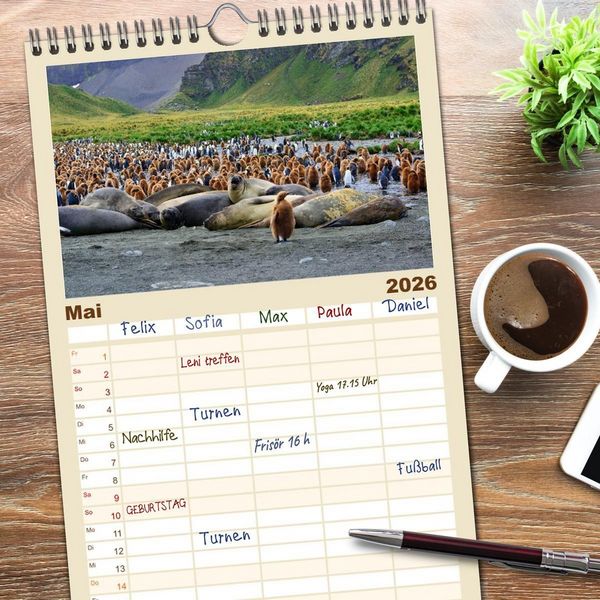 Produktbild: Familienplaner 2026 - Im Reich der Pinguine mit 5 Spalten (Wandkalender, 21 x 45 cm) CALVENDO