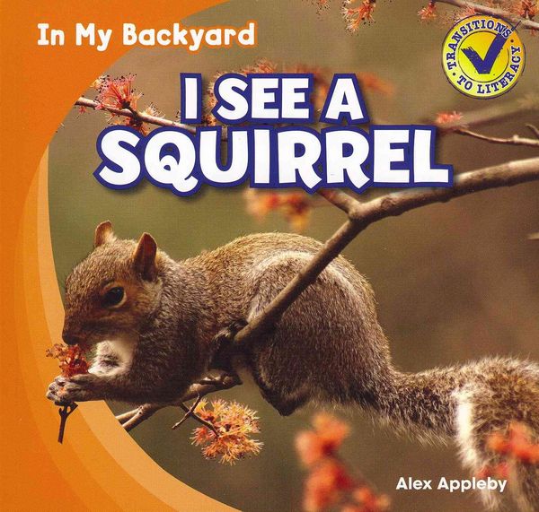 Produktbild: I See a Squirrel
