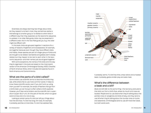 Produktbild: Birds of the Pacific Northwest for Kids