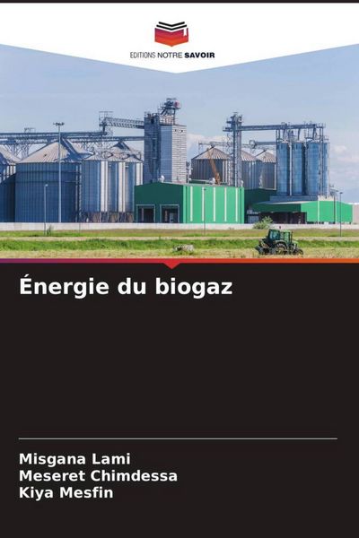 Produktbild: &Eacute;nergie du biogaz