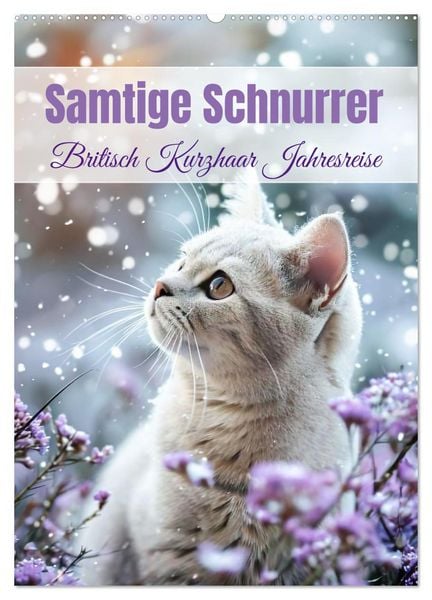 Produktbild: Samtige Schnurrer (Wandkalender 2026 DIN A2 hoch), CALVENDO Monatskalender