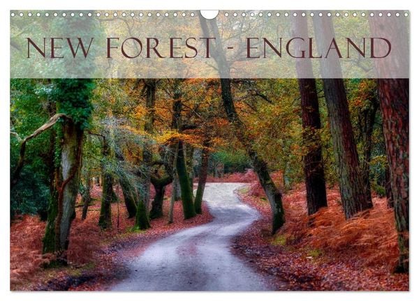 Produktbild: New Forest - England (Wandkalender 2026 DIN A3 quer), CALVENDO Monatskalender