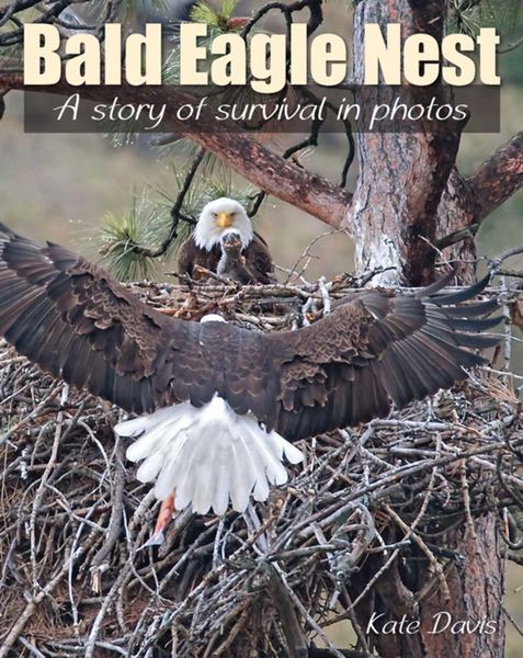 Produktbild: Bald Eagle Nest
