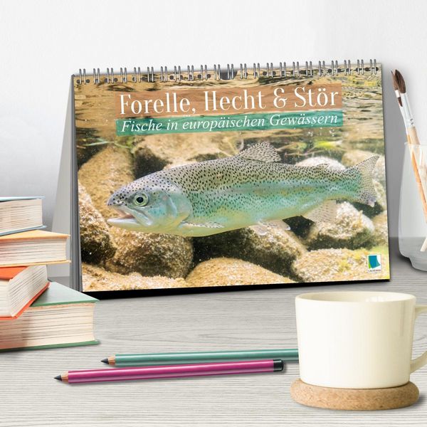 Produktbild: Forelle, Hecht und St&ouml;r: Fische in europ&auml;ischen Gew&auml;ssern (Tischkalender 2026 DIN A5 quer), CALVENDO Monatskalender