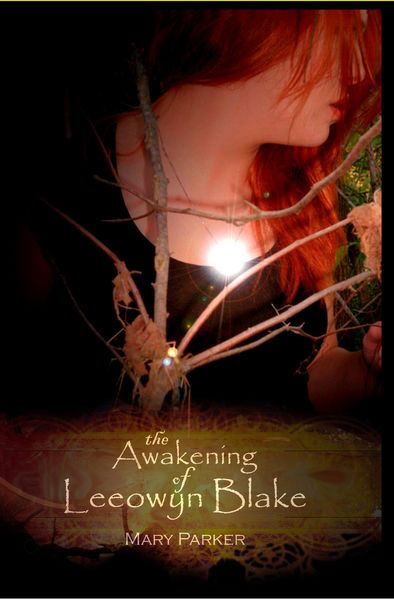 Produktbild: The Awakening of Leeowyn Blake