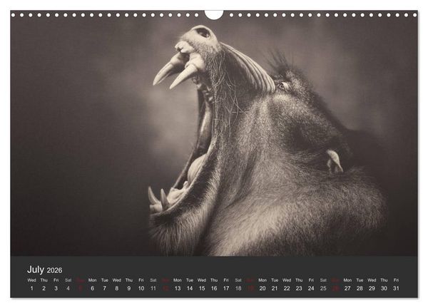 Produktbild: African Souls African animals with soul (Wall Calendar 2026 DIN A3 landscape), CALVENDO 12 Month Wall Calendar