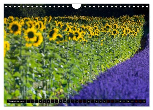 Produktbild: Provence im Rausch der Farben (Wandkalender 2026 DIN A4 quer), CALVENDO Monatskalender