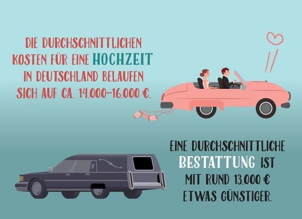 Produktbild: Wusstest du, dass Moskitos 47 Z&auml;hne haben?