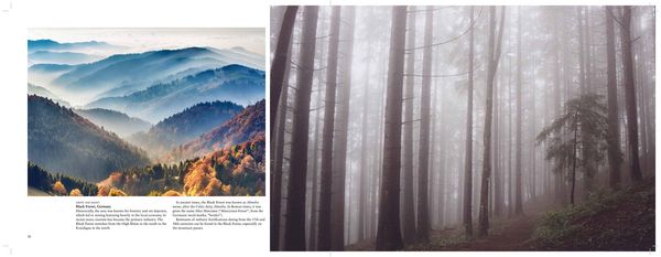 Produktbild: Forests