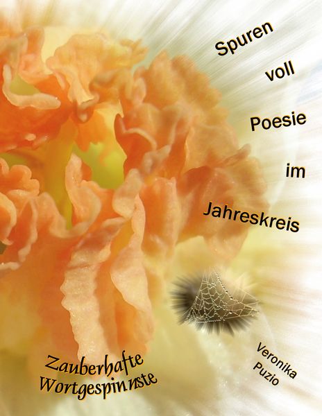 Produktbild: Spuren voll Poesie im Jahreskreis