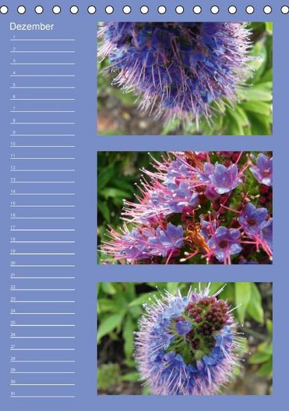Produktbild: Zauberwelt der Blumen - Eiskristalle & Wasserperlen / Geburtstagskalender (Tischkalender immerw&auml;hrend DIN A5 hoch)