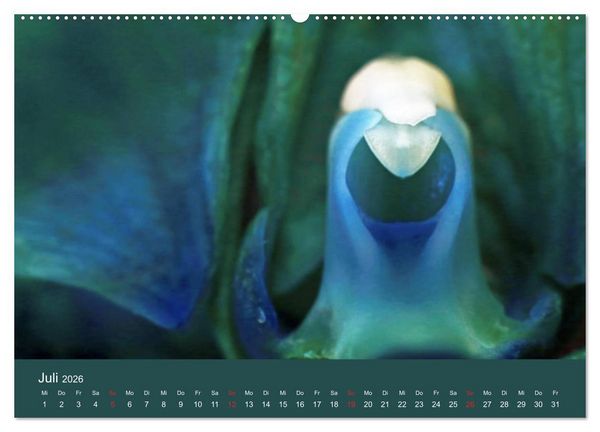Produktbild: Fantastische Reise in die Welt der Blumen (Wandkalender 2026 DIN A2 quer), CALVENDO Monatskalender