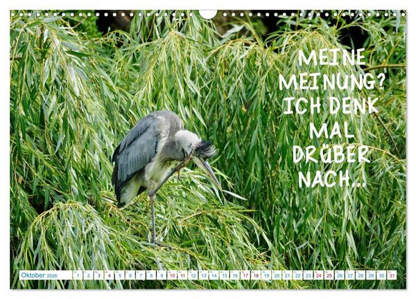 Produktbild: Humorvolles aus der Tierwelt (Wandkalender 2026 DIN A3 quer), CALVENDO Monatskalender