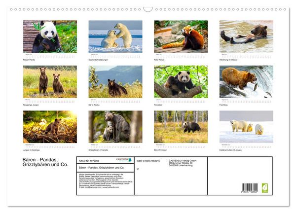 Produktbild: B&auml;ren - Pandas, Grizzlyb&auml;ren und Co. (Wandkalender 2026 DIN A2 quer), CALVENDO Monatskalender