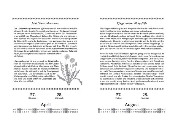 Produktbild: Liesel Malms Kr&auml;uterkalender 2027. Mit der Heilkraft der Natur durchs Jahr