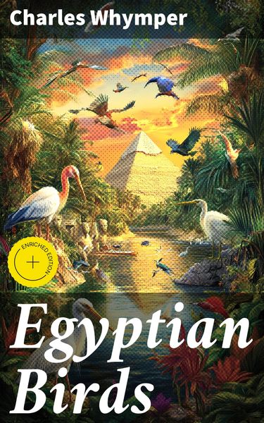 Produktbild: Egyptian Birds