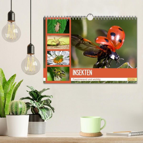 Produktbild: Insekten. Faszinierend und wichtig (Wandkalender 2026 DIN A4 quer), CALVENDO Monatskalender