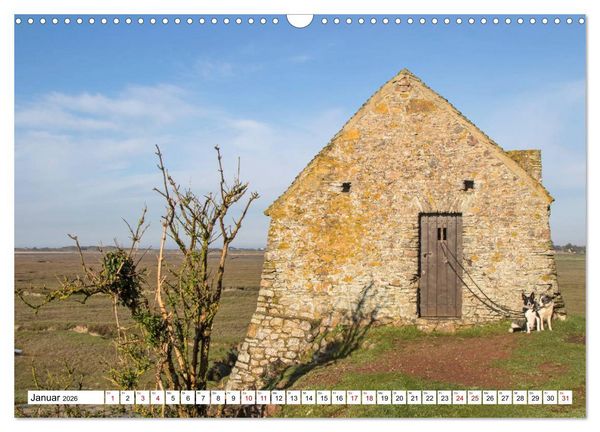 Produktbild: Cotentin &ndash; unser St&uuml;ck vom Paradies (Wandkalender 2026 DIN A3 quer), CALVENDO Monatskalender