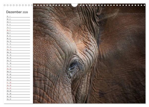 Produktbild: Emotionale Momente: Mein wildes Afrika (Wandkalender 2026 DIN A3 quer), CALVENDO Monatskalender