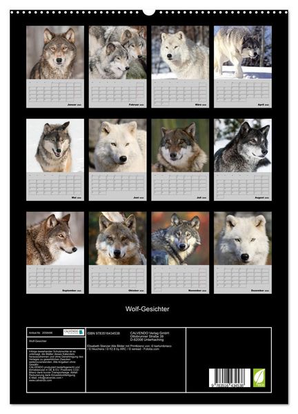 Produktbild: Wolf-Gesichter (hochwertiger Premium Wandkalender 2026 DIN A2 hoch), Kunstdruck in Hochglanz
