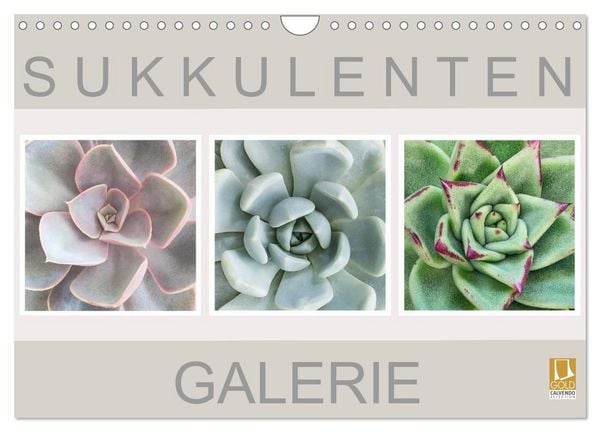 Produktbild: Sukkulenten Galerie (Wandkalender 2027 DIN A4 quer), CALVENDO Monatskalender