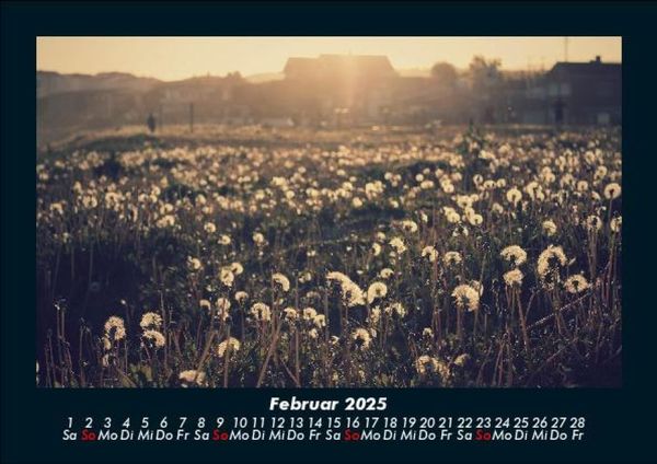 Produktbild: Blumenzauber 2025 Fotokalender DIN A5