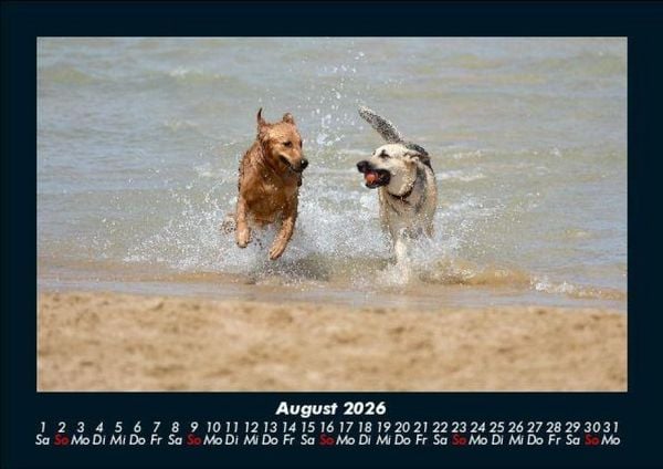 Produktbild: Hundezauber 2026 Fotokalender DIN A5