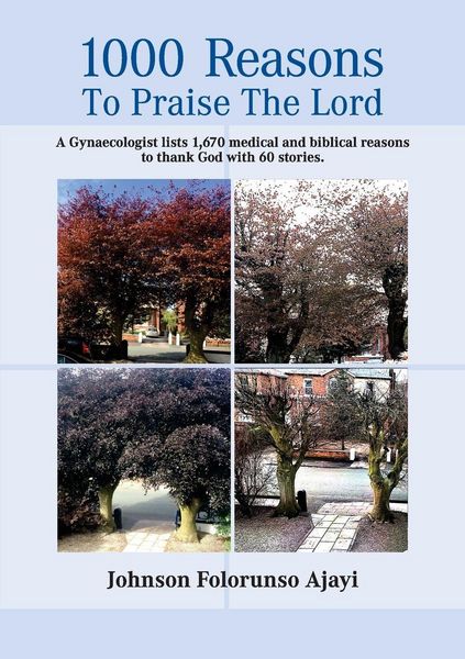 Produktbild: 1000 Reasons to Praise the Lord