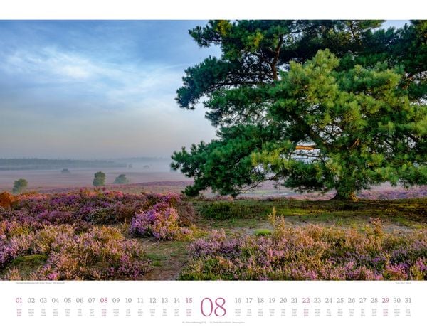 Produktbild: Morgenlicht Kalender 2027