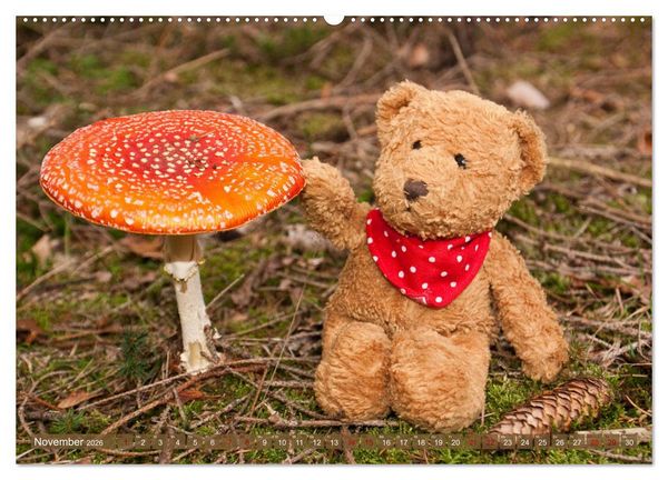 Produktbild: Kunterbunte B&auml;renwelt - Teddys (hochwertiger Premium Wandkalender 2026 DIN A2 quer), Kunstdruck in Hochglanz