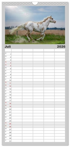 Produktbild: Familienplaner 2026 - Faszination Westernpferde mit 5 Spalten (Wandkalender, 21 x 45 cm) CALVENDO