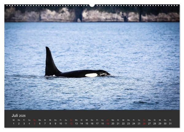 Produktbild: Alaska 2026 - faszinierend anders (hochwertiger Premium Wandkalender 2026 DIN A2 quer), Kunstdruck in Hochglanz