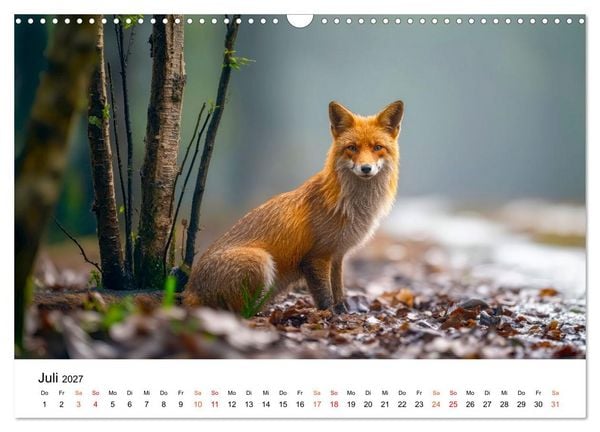 Produktbild: F&uuml;chse - Wanderer durch Moos und Farn (Wandkalender 2027 DIN A3 quer), CALVENDO Monatskalender