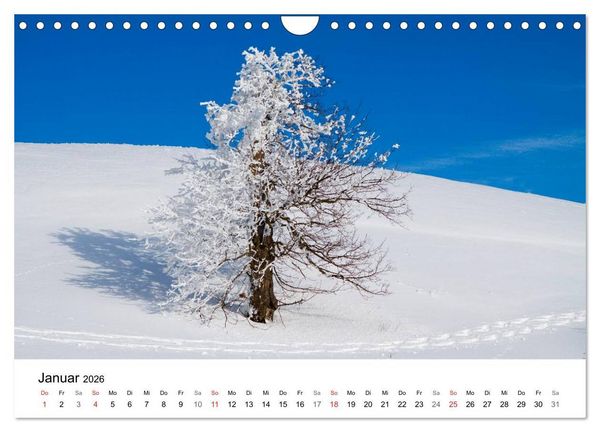 Produktbild: Auf neuen Wegen (Wandkalender 2026 DIN A4 quer), CALVENDO Monatskalender