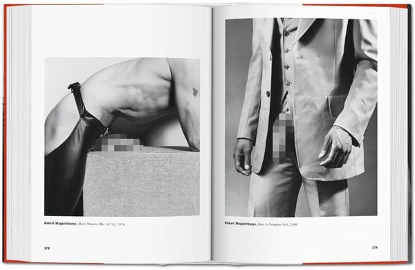 Produktbild: The Male Nude