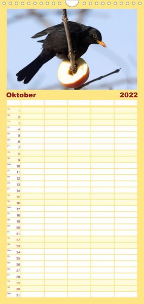 Produktbild: Familienplaner Gartenv&ouml;gel (Wandkalender 2022 , 21 cm x 45 cm, hoch)