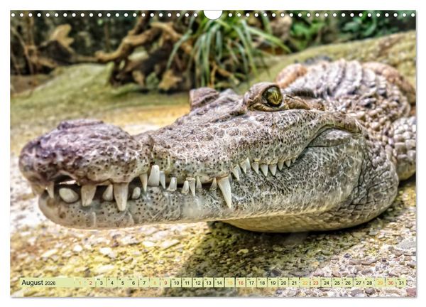 Produktbild: Urzeitreptilien - Krokodil (Wandkalender 2026 DIN A3 quer), CALVENDO Monatskalender