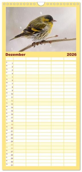 Produktbild: Familienplaner 2026 - Erlenzeisige mit 5 Spalten (Wandkalender, 21 x 45 cm) CALVENDO