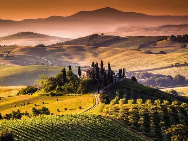 Produktbild: CALVENDO Puzzle Weinanbaugebiet und Landschaft in der Toskana 1000 Teile Lege-Gr&ouml;&szlig;e 64 x 48 cm Foto-Puzzle Bild von Elisabeth Stanzer