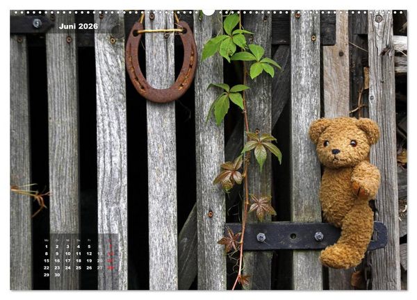 Produktbild: Gl&uuml;cksbringer (hochwertiger Premium Wandkalender 2026 DIN A2 quer), Kunstdruck in Hochglanz