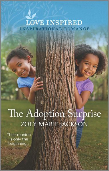 Produktbild: The Adoption Surprise