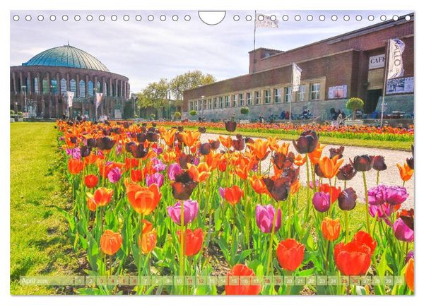 Produktbild: Nordrhein-Westfalen - Ein malerischer Spaziergang (Wandkalender 2026 DIN A4 quer), CALVENDO Monatskalender