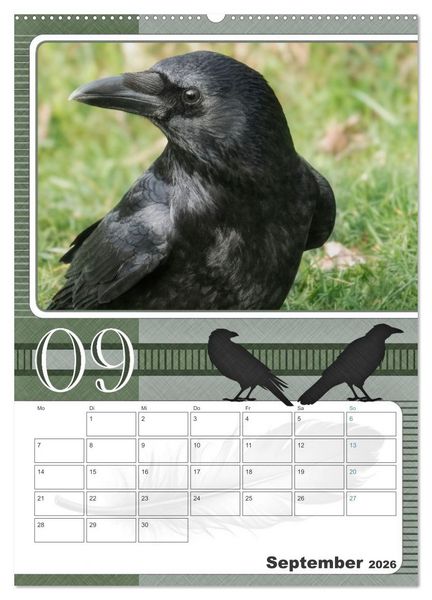 Produktbild: Kr&auml;hen - Clever notiert! Mit K&ouml;pfchen durchs ganze Jahr (hochwertiger Premium Wandkalender 2026 DIN A2 hoch), Kunstdruck in Hochglanz