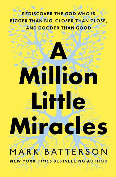 Produktbild: A Million Little Miracles