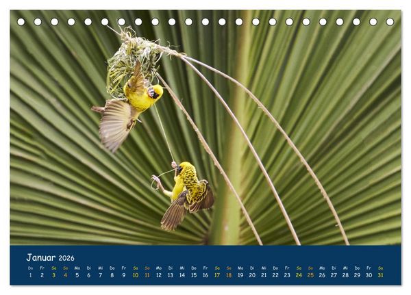 Produktbild: Faszinierende Tierwelt von Mauritius - Magische Momente der Natur (Tischkalender 2026 DIN A5 quer), CALVENDO Monatskalender