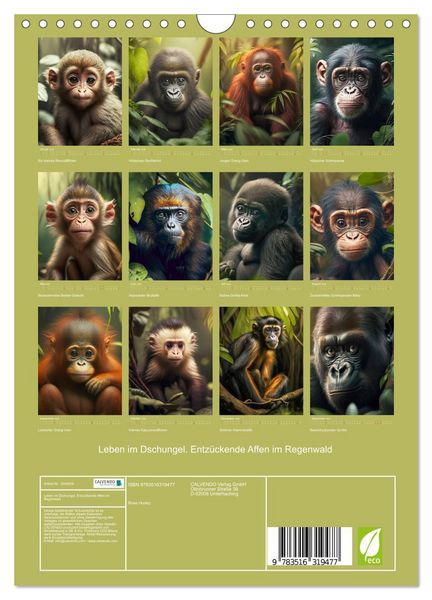 Produktbild: Leben im Dschungel. Entz&uuml;ckende Affen im Regenwald (Wandkalender 2026 DIN A4 hoch), CALVENDO Monatskalender