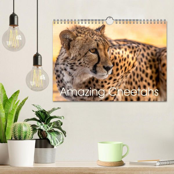 Produktbild: Amazing Cheetahs (Wall Calendar 2026 DIN A4 landscape), CALVENDO 12 Month Wall Calendar