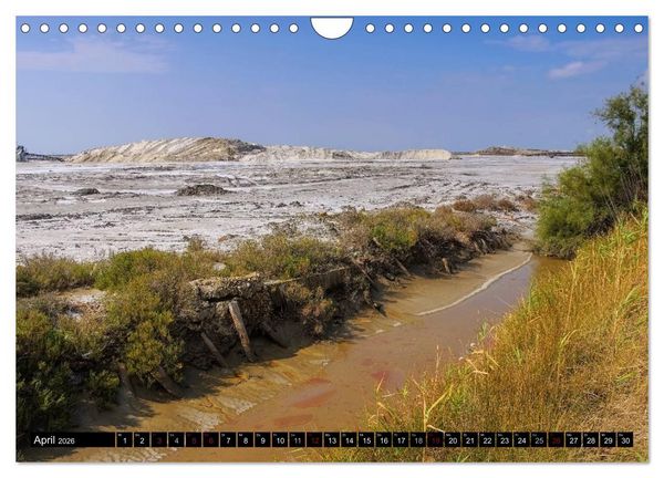 Produktbild: Camargue - Im Land der wei&szlig;en Pferde und schwarzen Stiere (Wandkalender 2026 DIN A4 quer), CALVENDO Monatskalender